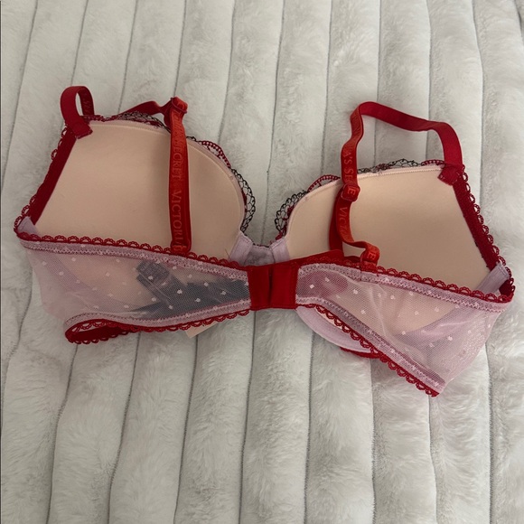 Red and Pink Embroidered Bra - Picture 4 of 5